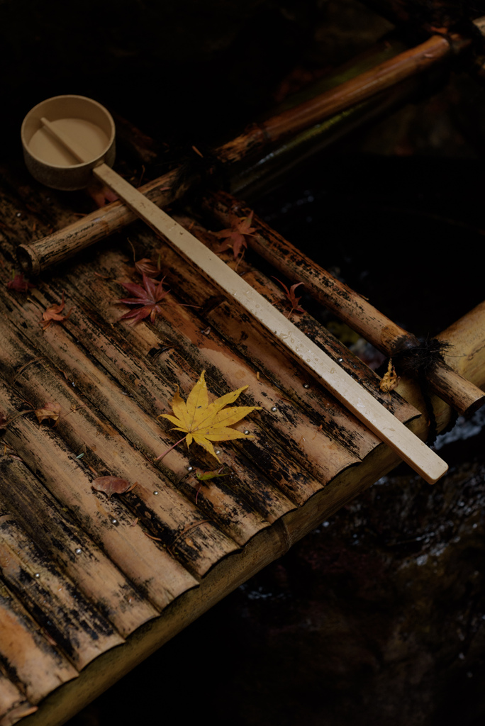 見比べ(Nikon)