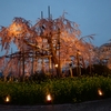 宇治市植物園