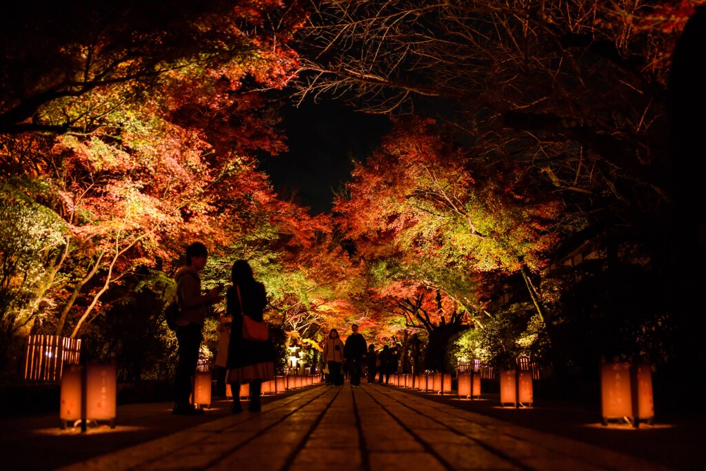 石山寺ライトアップ