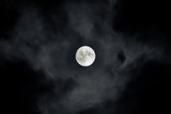 Halloween Blue Moon