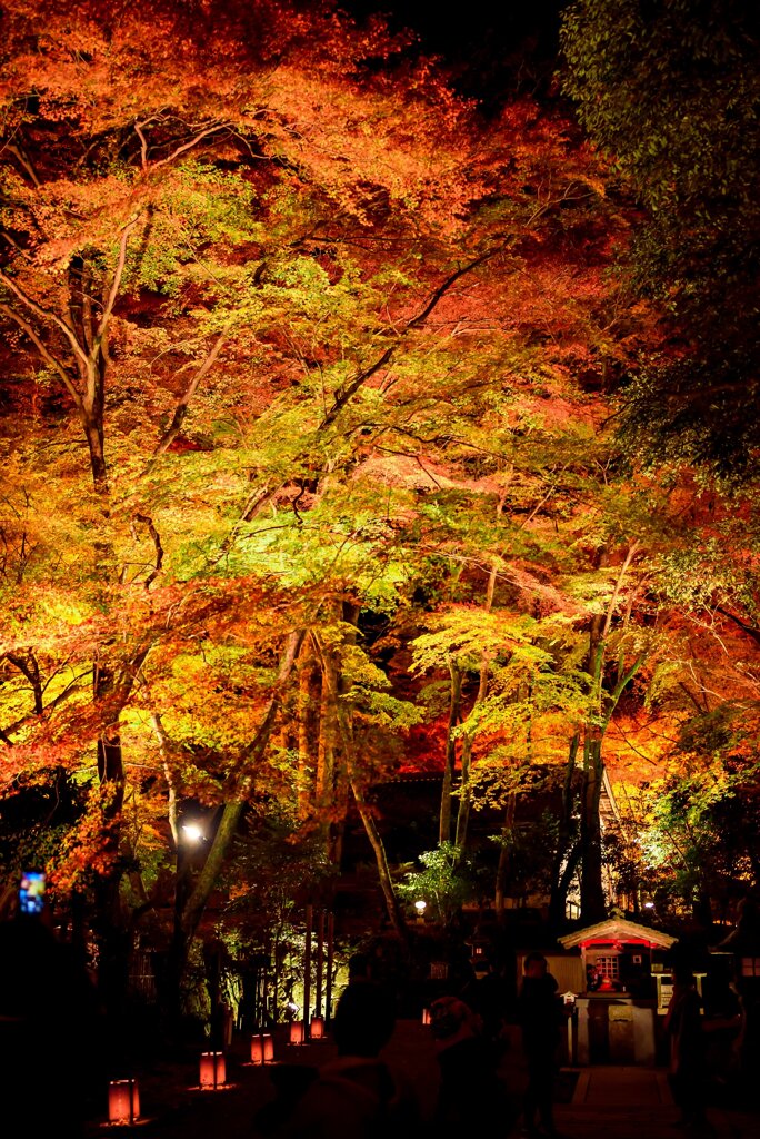 滋賀県　石山寺