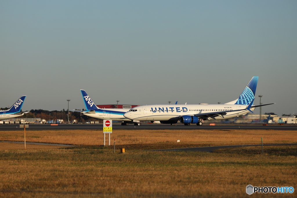 UNITED AIRLINE