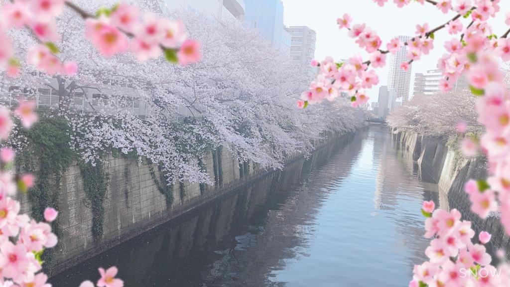 NAKAMEGURO　river