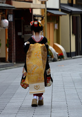 舞妓の始業式
