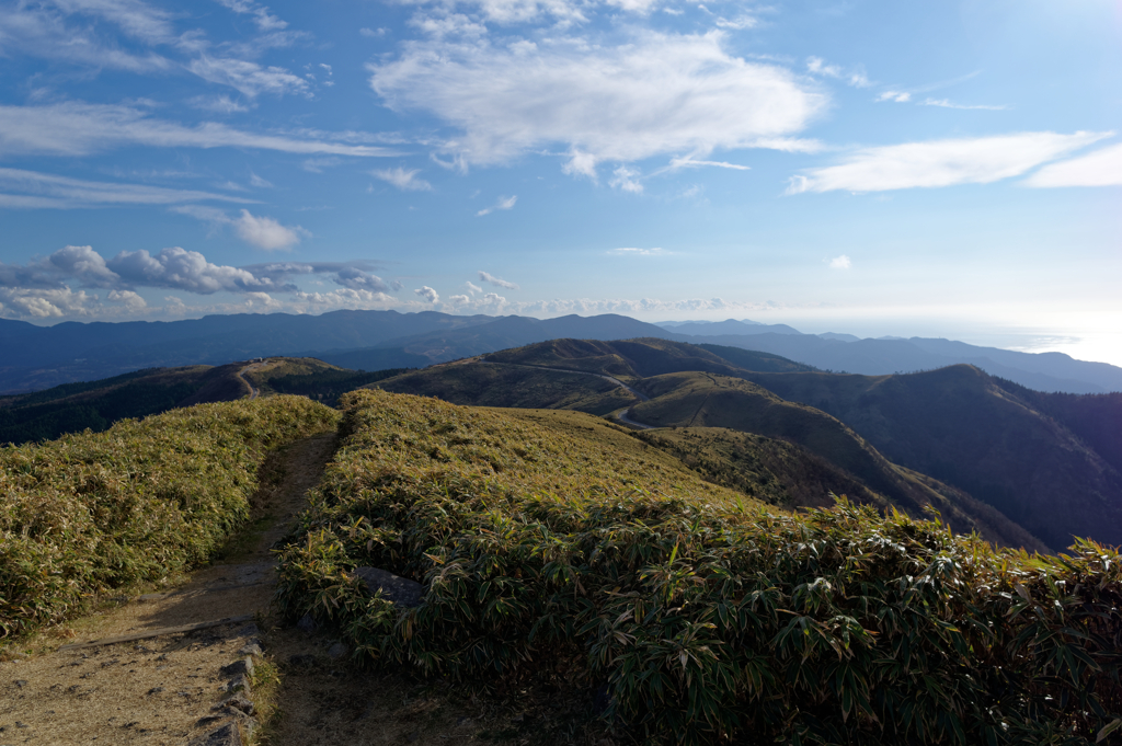 達磨山