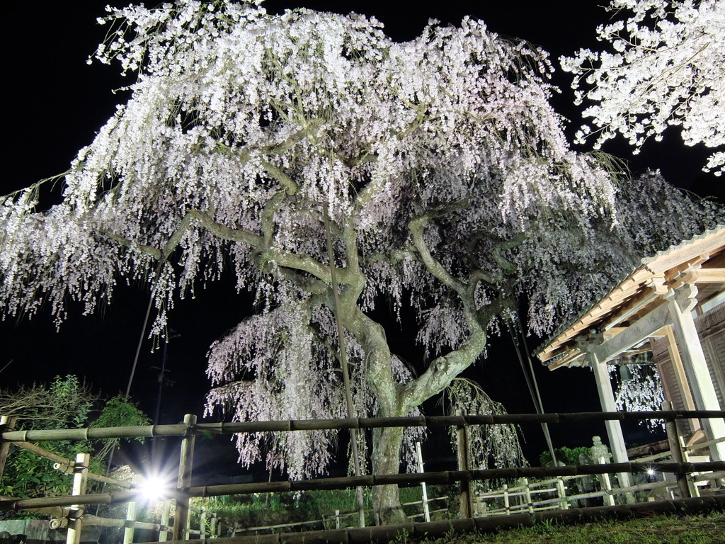 西光寺