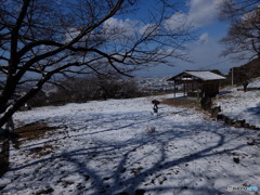 雪が降った枚岡梅林