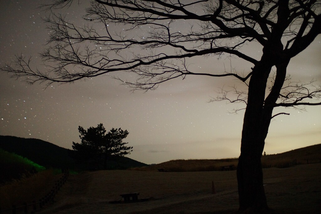 夜の曽爾高原