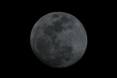 初500mm手持ちで撮影