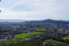 山からとった