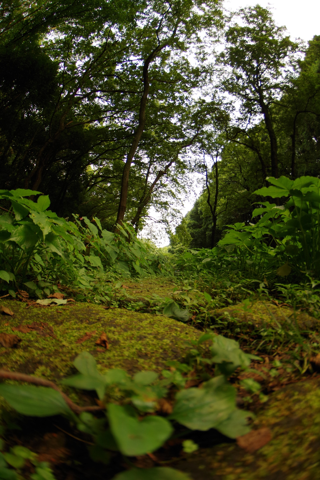どっかの公園