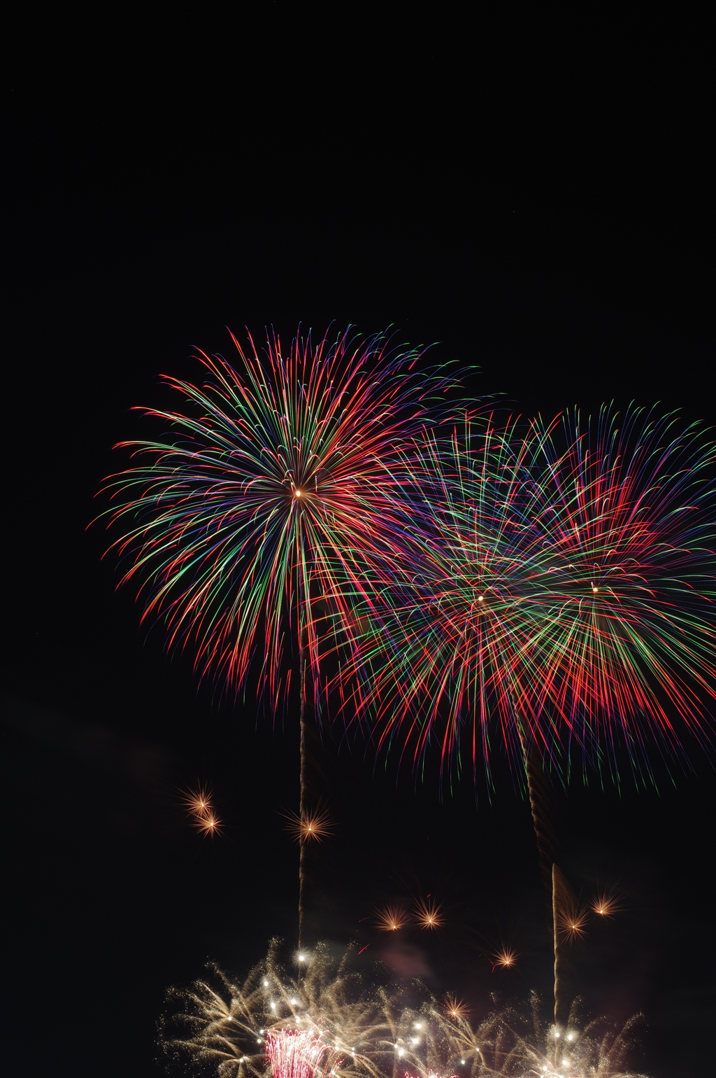 色がきれいだったので