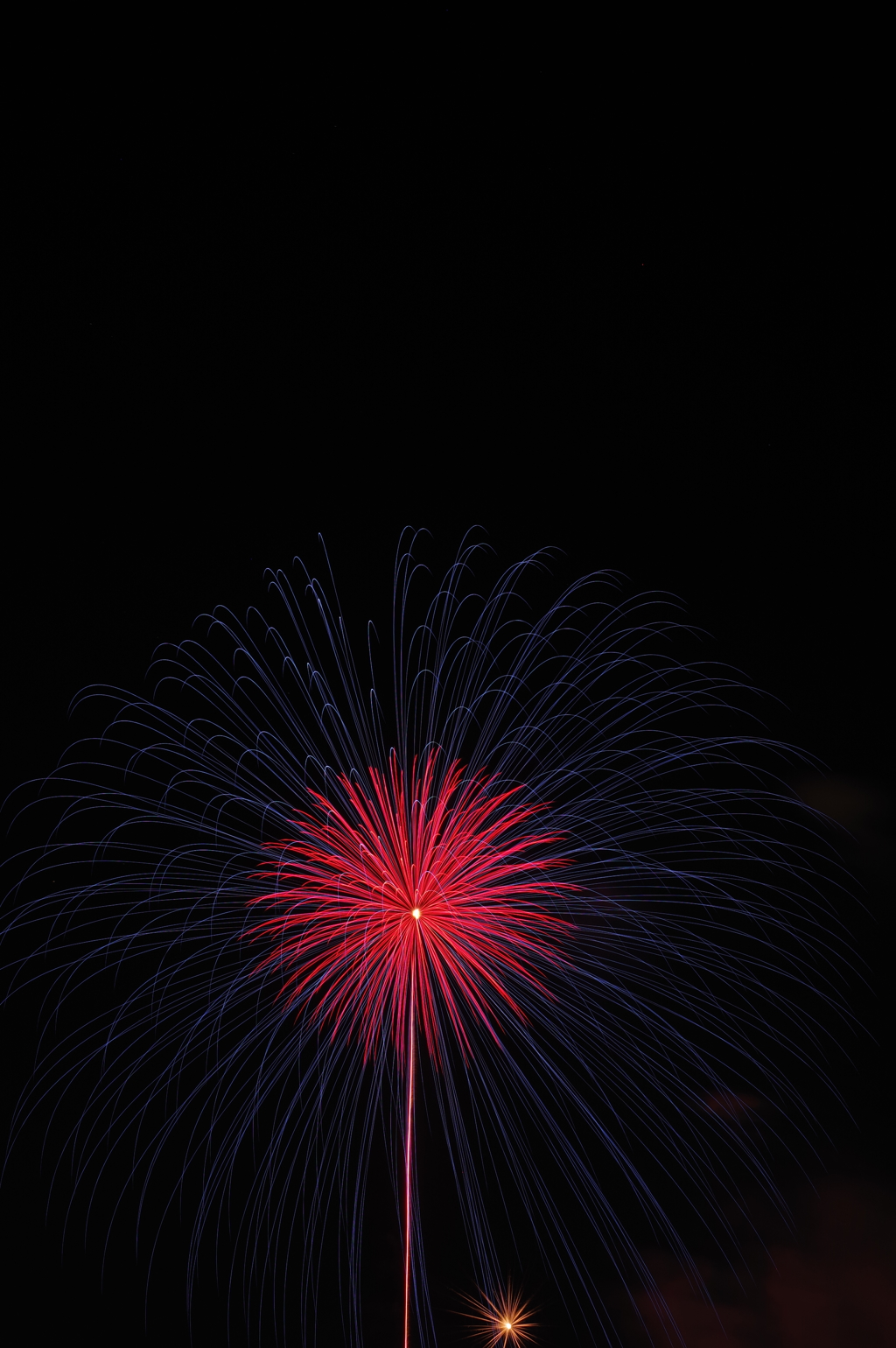 花火の花ってつけた人すごい