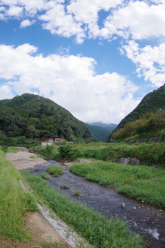 嵐山のトロッコにのったら連れていかれた場所