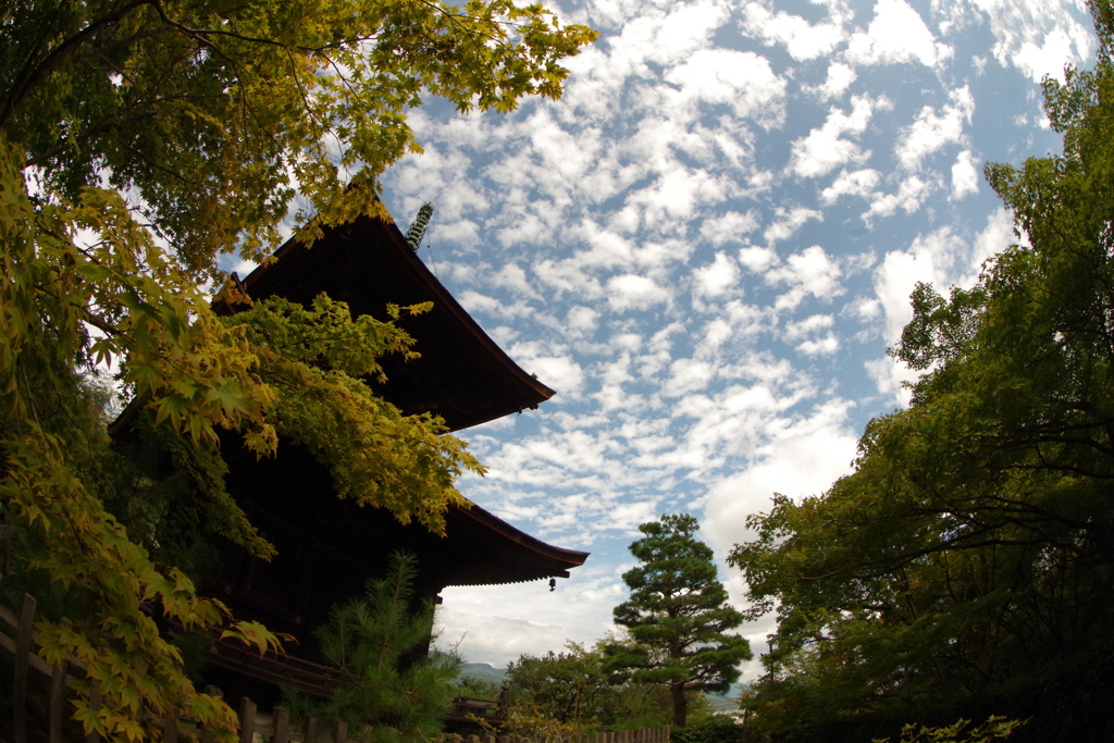 京都