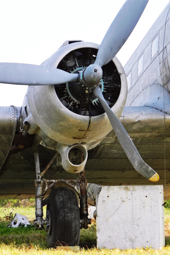 Douglas Dakota “SISTER ANN” 4