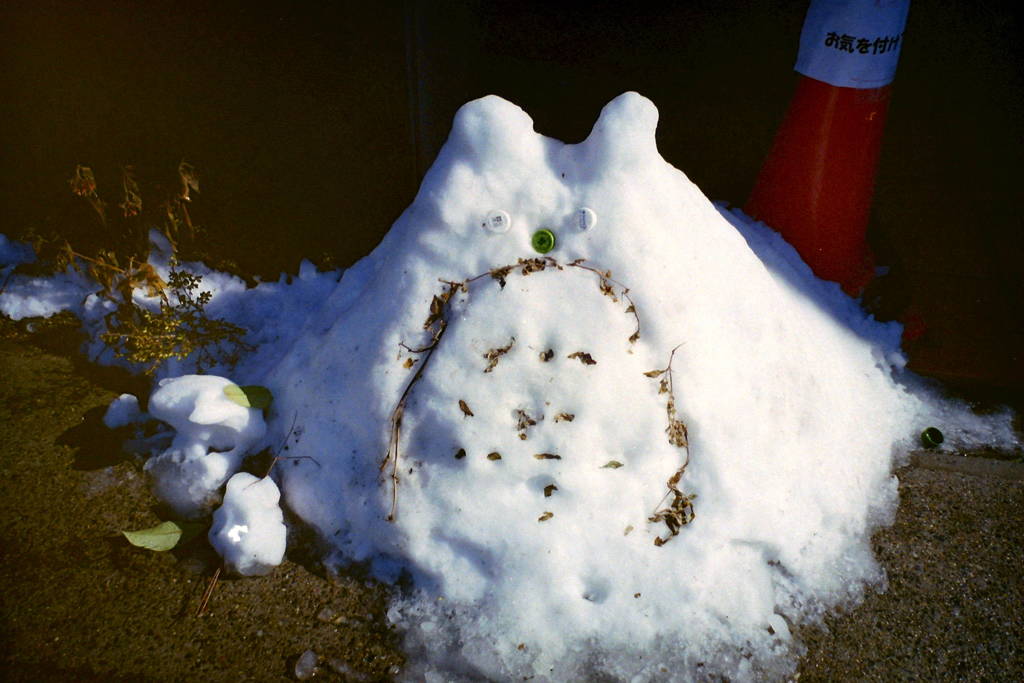 totoro