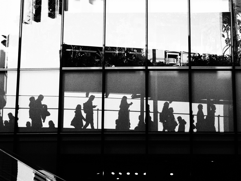 Reflection.