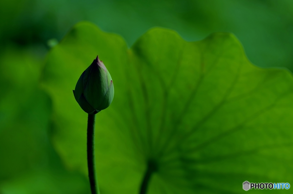 じらしてゴメン