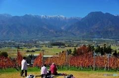 一年ぶりの女子会