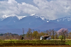 山村春景色