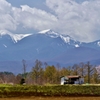 山村春景色
