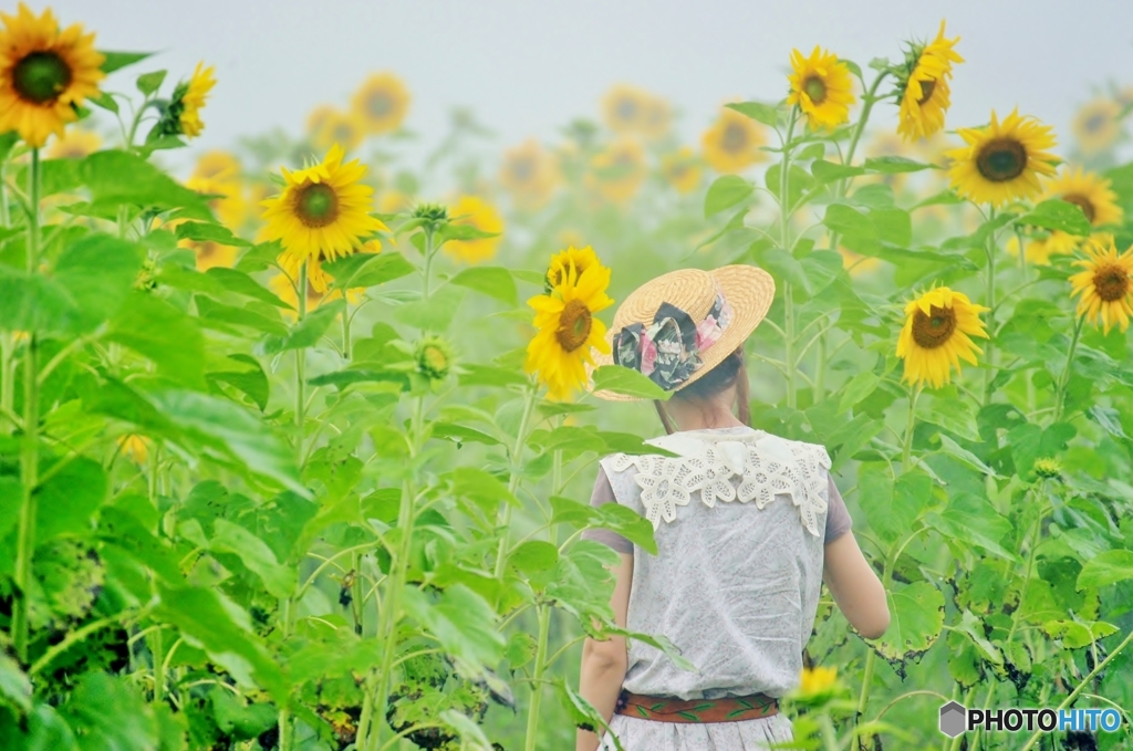 夏の思い出