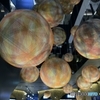 惑星からの贈り物
