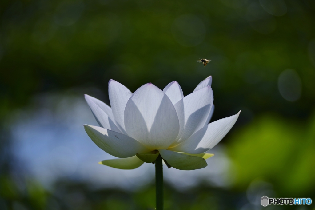 平和への祈り