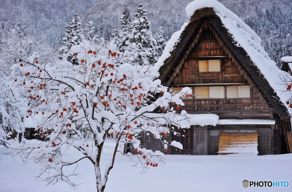 郷愁の地