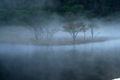 朝霧の覚満淵