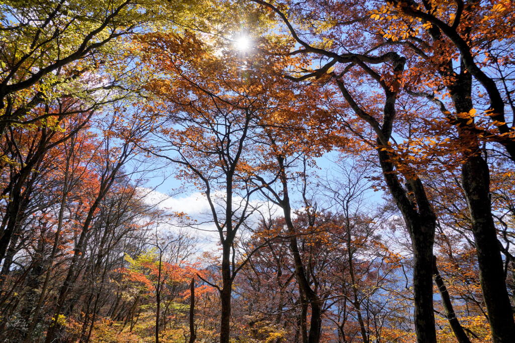 紅葉のウノタワ
