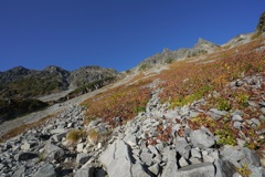 草紅葉の穂高岳