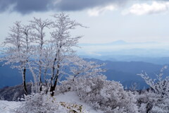 霧氷の彼方に