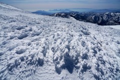 平標山　冬の花畑