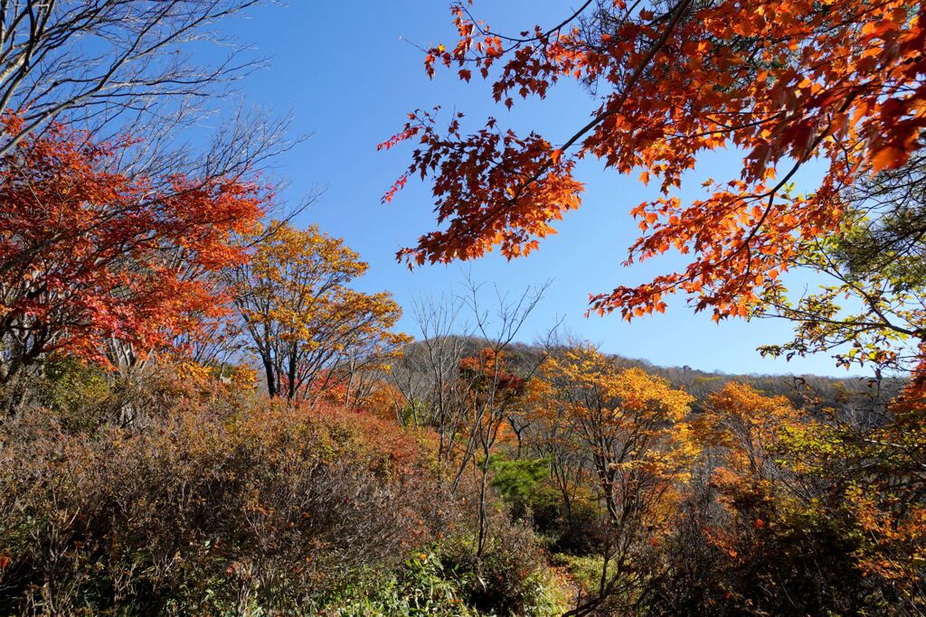 紅葉の荒山