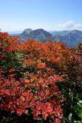紅葉の谷川へ