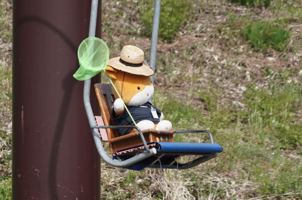 夏だ～
