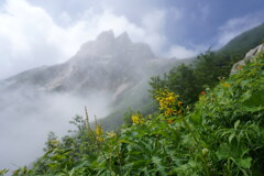 霧に霞む杓子岳