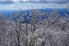 霧氷の奥に