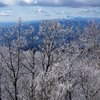 霧氷の奥に