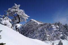 四阿山山頂　霧氷に覆われて