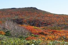 紅葉染まる東栗駒山