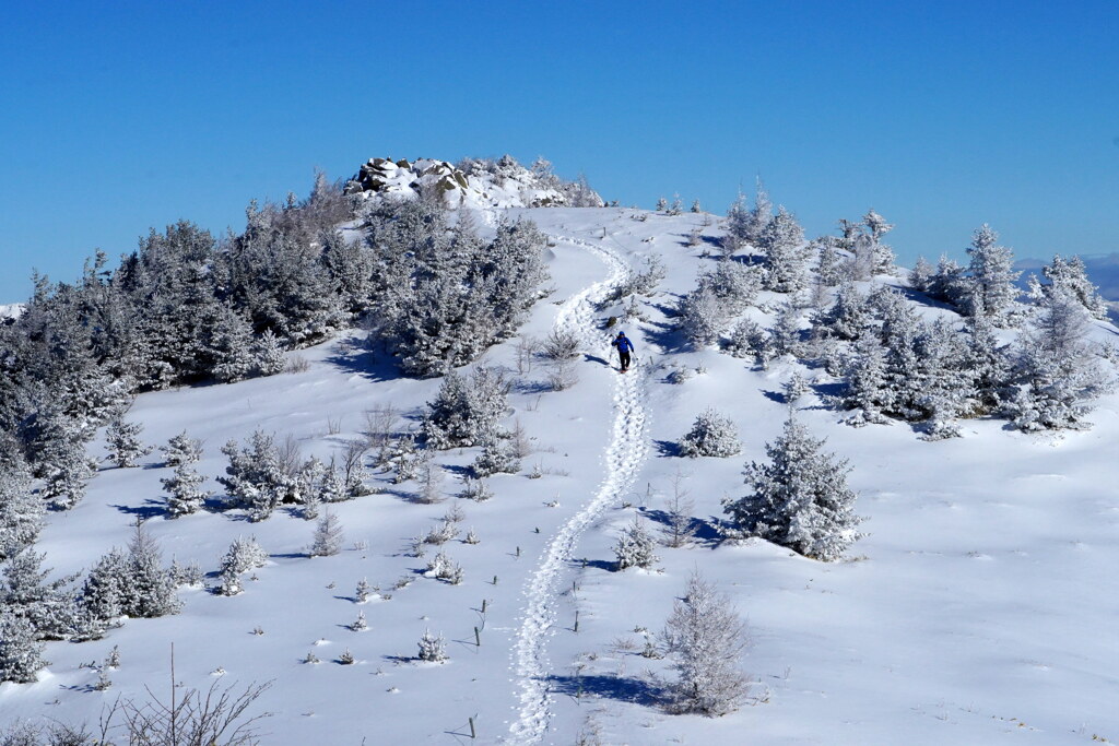 白のビクトリーロード