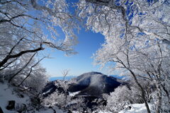 正夢