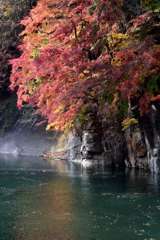 渡良瀬渓谷の秋