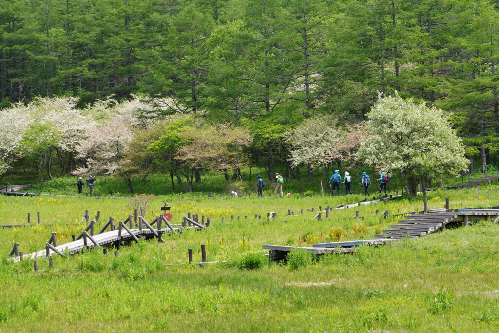 まるで観光地