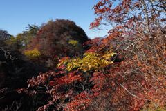 秋の三ツ岩岳