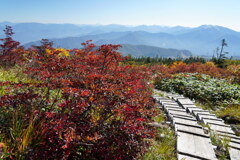 紅葉染まる登山道