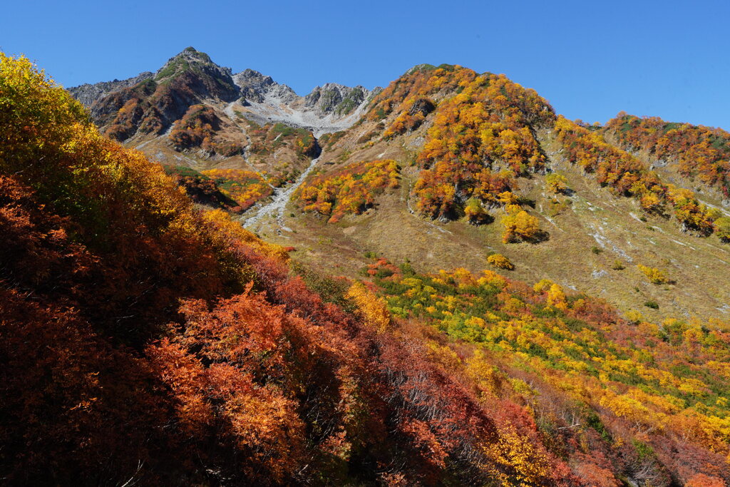 錦燃える岩稜